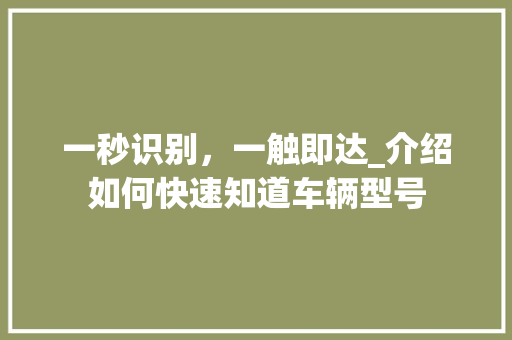 一秒识别，一触即达_介绍如何快速知道车辆型号