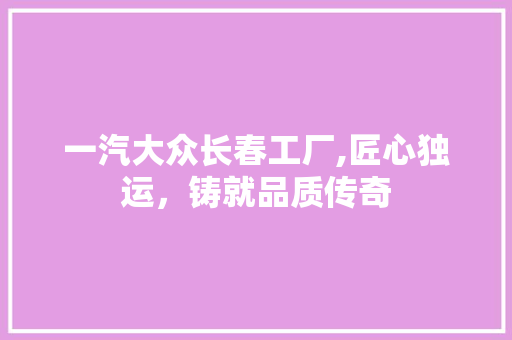一汽大众长春工厂,匠心独运，铸就品质传奇 汽车知识