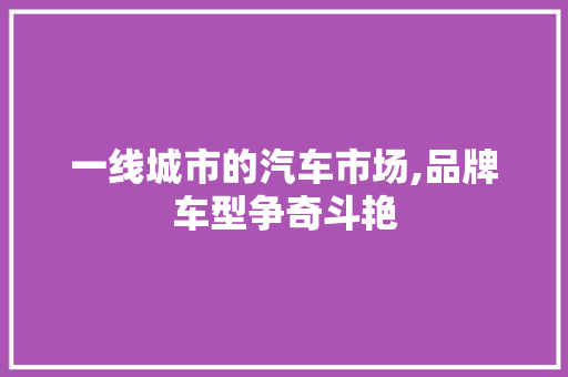 一线城市的汽车市场,品牌车型争奇斗艳