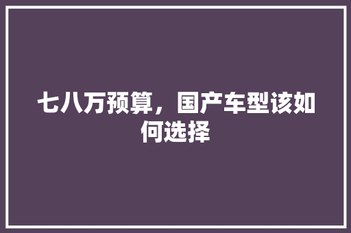 七八万预算，国产车型该如何选择 汽车知识