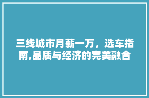 三线城市月薪一万，选车指南,品质与经济的完美融合 汽车知识