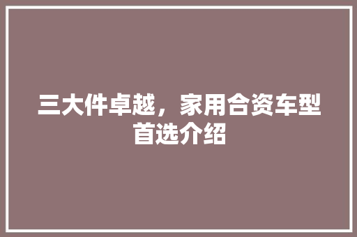 三大件卓越，家用合资车型首选介绍 汽车知识