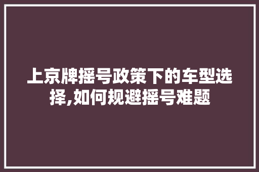 上京牌摇号政策下的车型选择,如何规避摇号难题