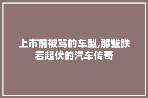 上市前被骂的车型,那些跌宕起伏的汽车传奇