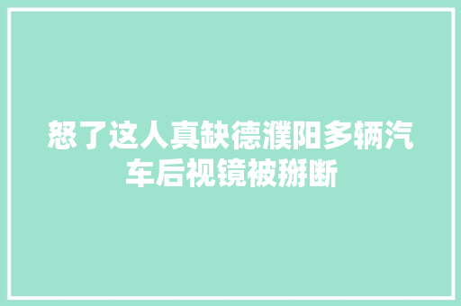 怒了这人真缺德濮阳多辆汽车后视镜被掰断 汽车知识