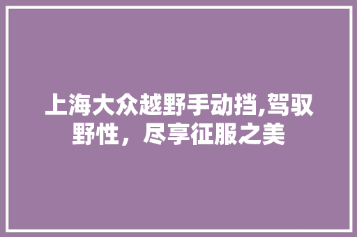 上海大众越野手动挡,驾驭野性，尽享征服之美