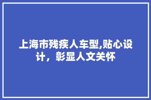 上海市残疾人车型,贴心设计，彰显人文关怀