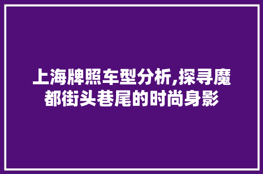 上海牌照车型分析,探寻魔都街头巷尾的时尚身影 汽车知识