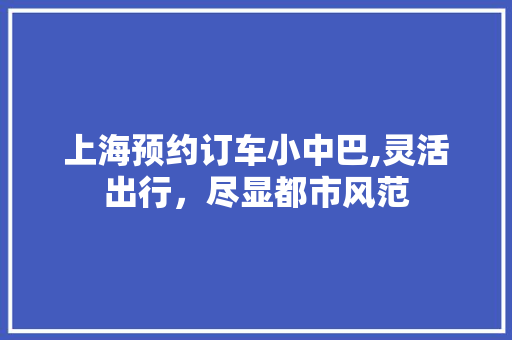 上海预约订车小中巴,灵活出行，尽显都市风范