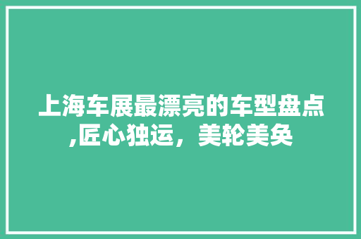 上海车展最漂亮的车型盘点,匠心独运，美轮美奂 汽车知识