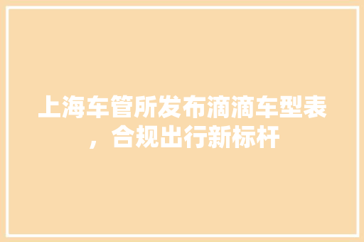 上海车管所发布滴滴车型表，合规出行新标杆 汽车知识