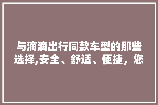 与滴滴出行同款车型的那些选择,安全、舒适、便捷，您的出行新伙伴