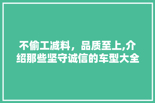 不偷工减料，品质至上,介绍那些坚守诚信的车型大全