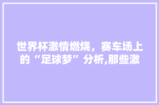世界杯激情燃烧，赛车场上的“足球梦”分析,那些激情四溢的车型