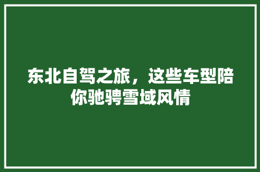 东北自驾之旅，这些车型陪你驰骋雪域风情