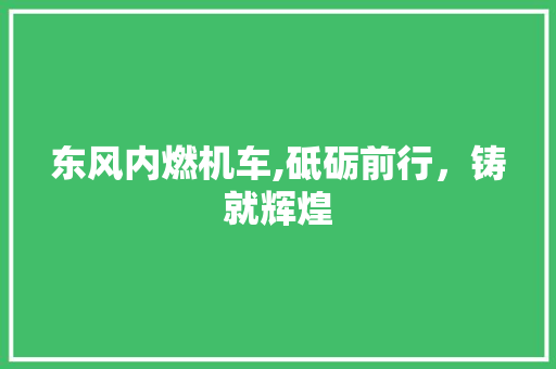 东风内燃机车,砥砺前行，铸就辉煌 汽车知识