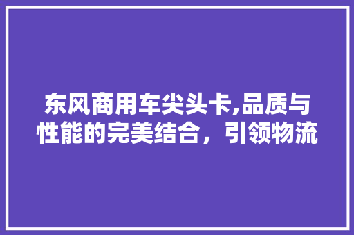 东风商用车尖头卡,品质与性能的完美结合，引领物流运输新潮流
