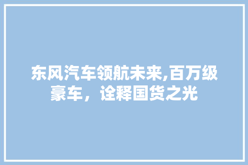 东风汽车领航未来,百万级豪车，诠释国货之光