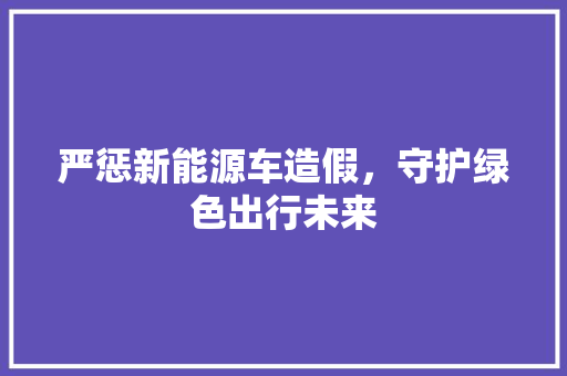 严惩新能源车造假，守护绿色出行未来