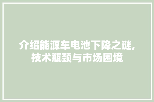 介绍能源车电池下降之谜,技术瓶颈与市场困境