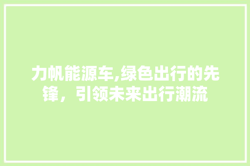 力帆能源车,绿色出行的先锋，引领未来出行潮流