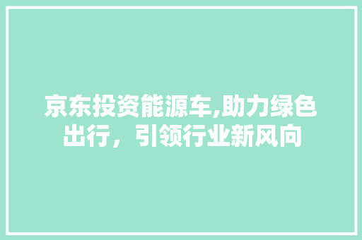 京东投资能源车,助力绿色出行，引领行业新风向