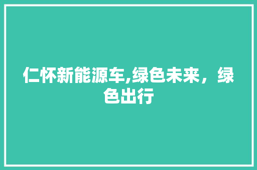 仁怀新能源车,绿色未来，绿色出行