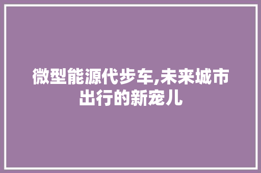 微型能源代步车,未来城市出行的新宠儿