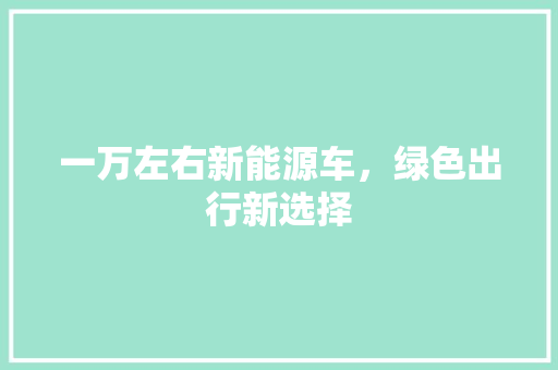 一万左右新能源车，绿色出行新选择