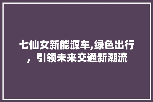 七仙女新能源车,绿色出行，引领未来交通新潮流