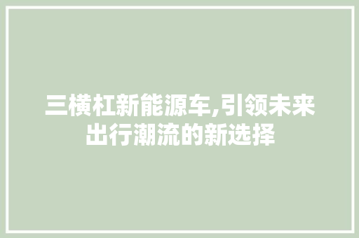 三横杠新能源车,引领未来出行潮流的新选择