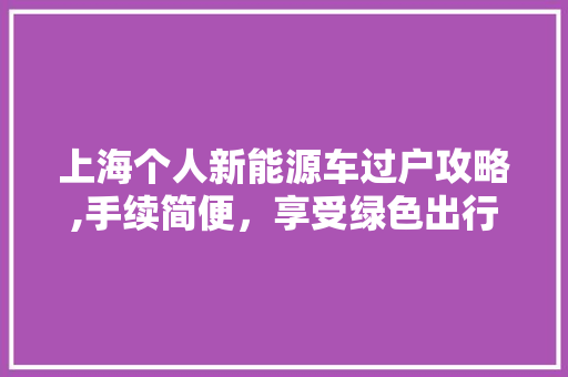 上海个人新能源车过户攻略,手续简便，享受绿色出行新体验