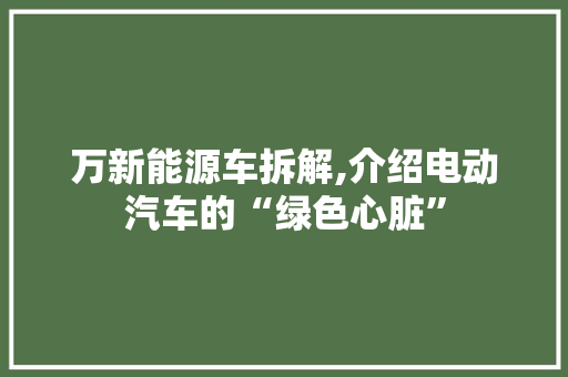 万新能源车拆解,介绍电动汽车的“绿色心脏”