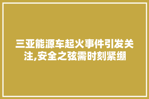 三亚能源车起火事件引发关注,安全之弦需时刻紧绷