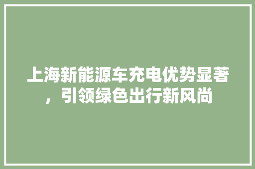 上海新能源车充电优势显著，引领绿色出行新风尚