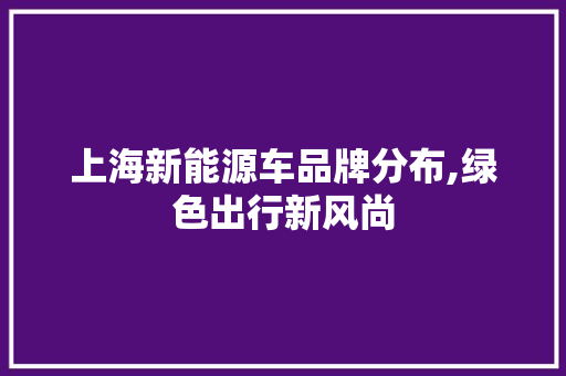 上海新能源车品牌分布,绿色出行新风尚