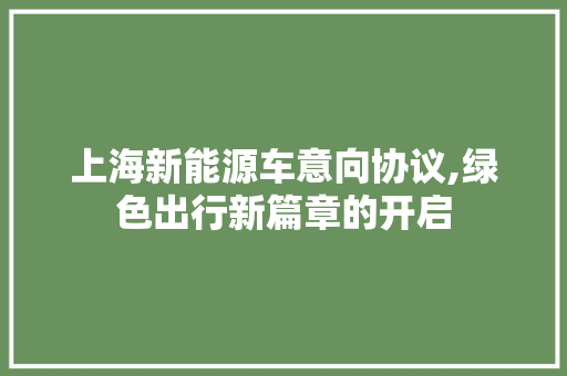 上海新能源车意向协议,绿色出行新篇章的开启