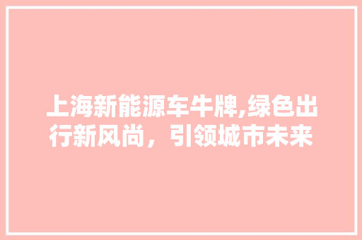 上海新能源车牛牌,绿色出行新风尚，引领城市未来