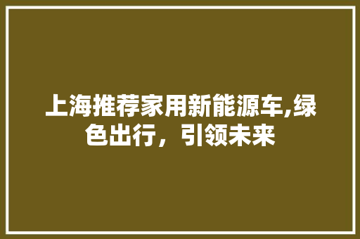 上海推荐家用新能源车,绿色出行，引领未来