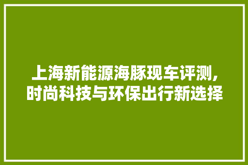 上海新能源海豚现车评测,时尚科技与环保出行新选择