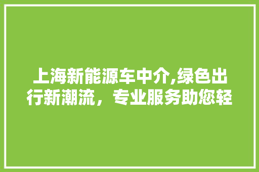 上海新能源车中介,绿色出行新潮流，专业服务助您轻松购车
