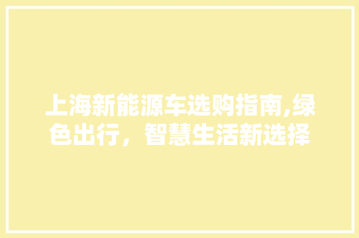 上海新能源车选购指南,绿色出行，智慧生活新选择