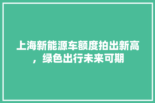 上海新能源车额度拍出新高，绿色出行未来可期 汽车知识