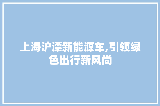 上海沪漂新能源车,引领绿色出行新风尚