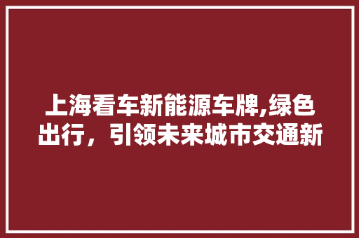 上海看车新能源车牌,绿色出行，引领未来城市交通新风尚