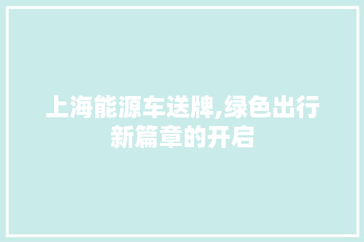上海能源车送牌,绿色出行新篇章的开启