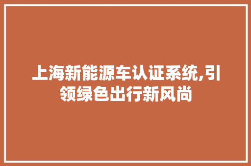 上海新能源车认证系统,引领绿色出行新风尚