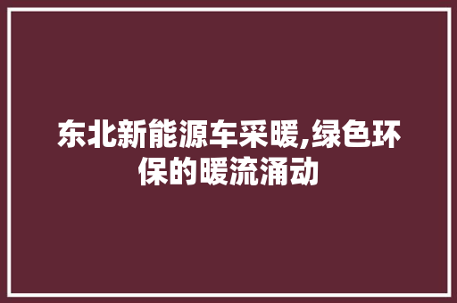 东北新能源车采暖,绿色环保的暖流涌动