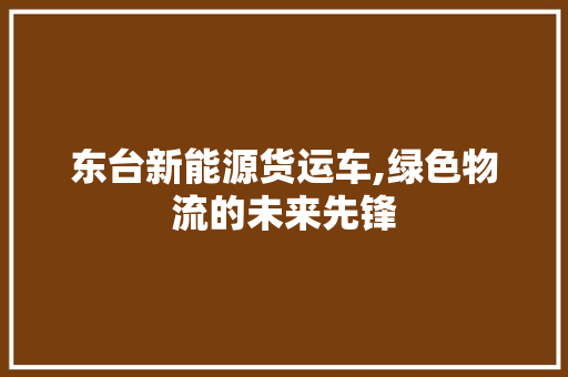 东台新能源货运车,绿色物流的未来先锋