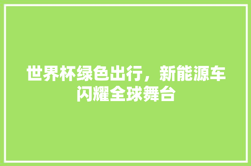 世界杯绿色出行，新能源车闪耀全球舞台